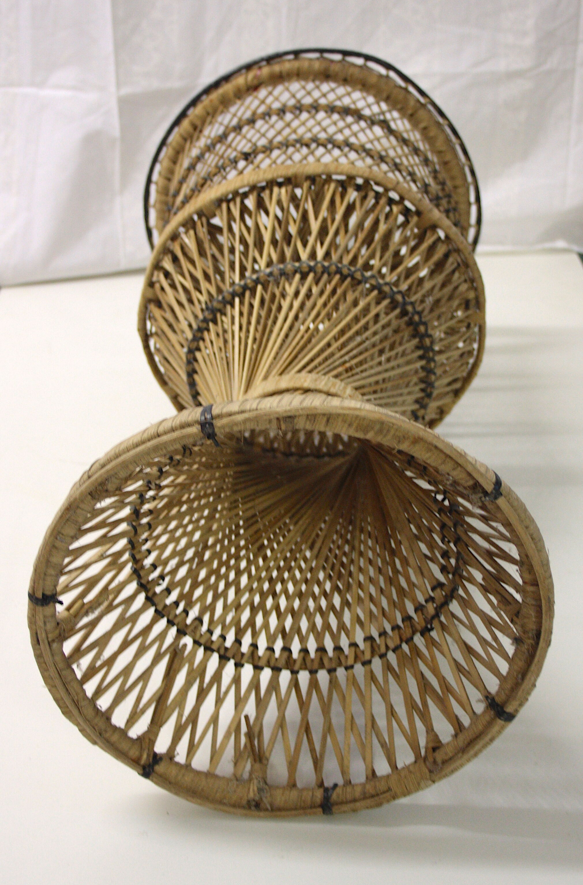 Door diabolo rattan plant