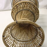 Door diabolo rattan plant