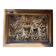 Vitrine / Collection de papillons anciens - 62 papillons