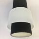 Paire de lampes, Louis Kalff pour Philips, modèle NT61