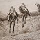 1890 Engraving Frank Paton, The Favorite's Bottom, Horse Racing