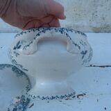Old soup of The Hamge Wolves France Acacias