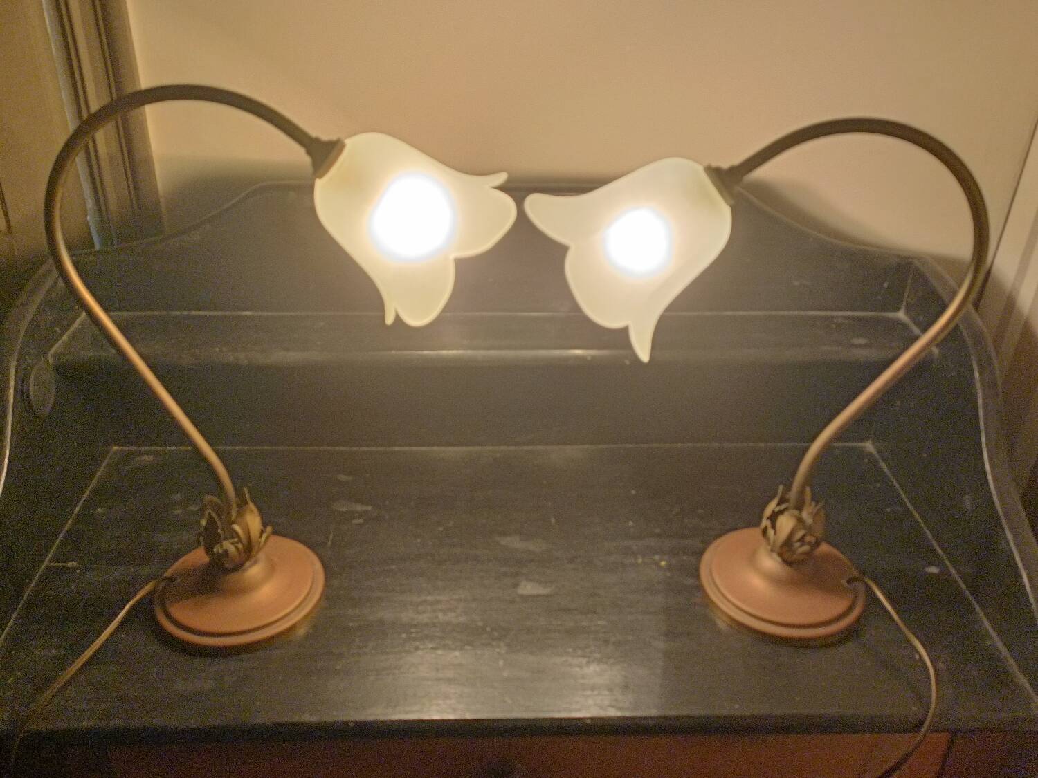 Pair of Art Nouveau style lamps