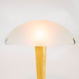 Vintage mushroom lamp| spatial age design | engraved glass