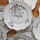12 assiettes à dessert en porcelaine ancienne décor polychrome floral début XXe