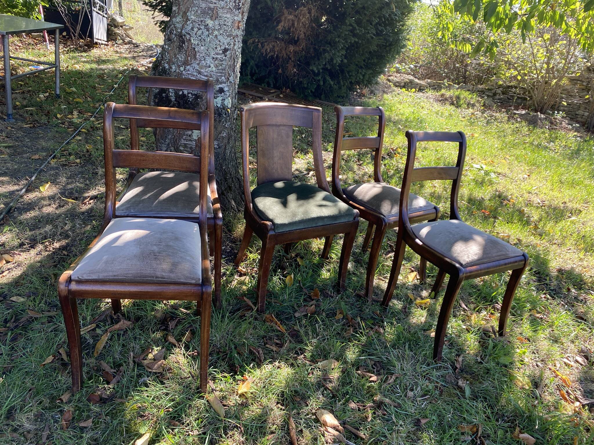 5 chairs
