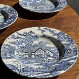 Set of 5 blue English plates D23