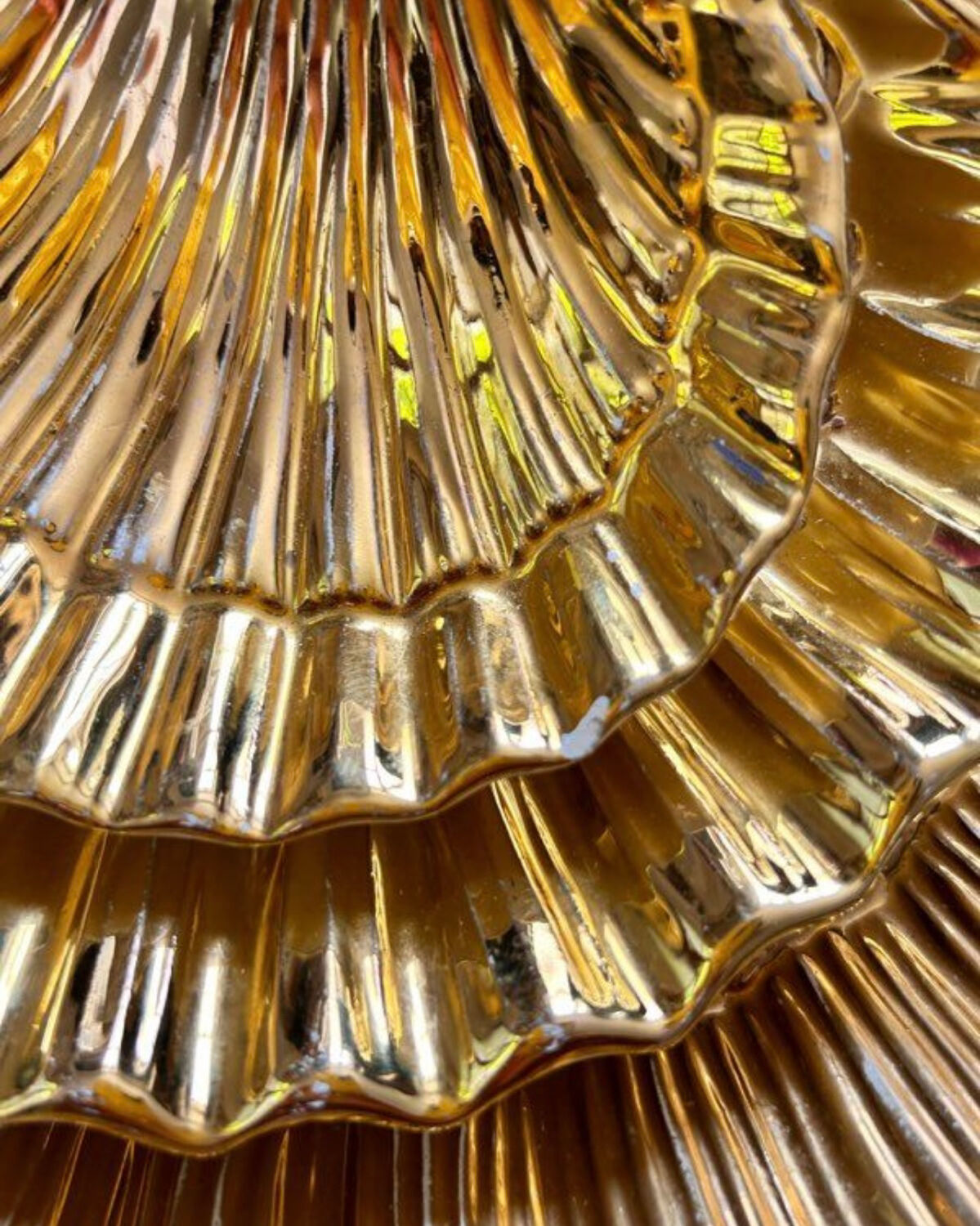 Vide poches coquillage anciens