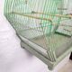 Old Green Birdcage