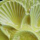 Series of oyster plates