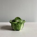 Small pot of cabbage leaf slip