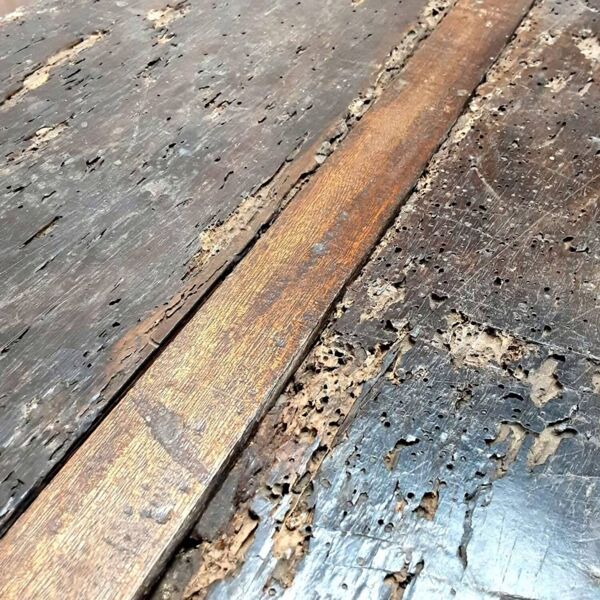 Véritable coffre en chêne antique du 19e siècle, grand coffre à couvertures/trésor.
