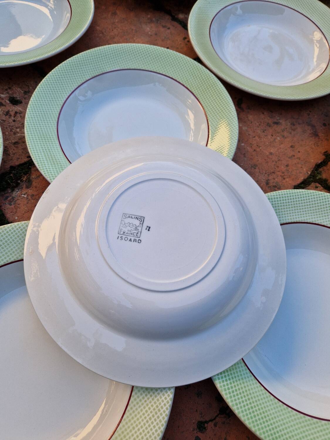 Set of 11 Isoard Pattern Soup Plates, Salins Manufacture
