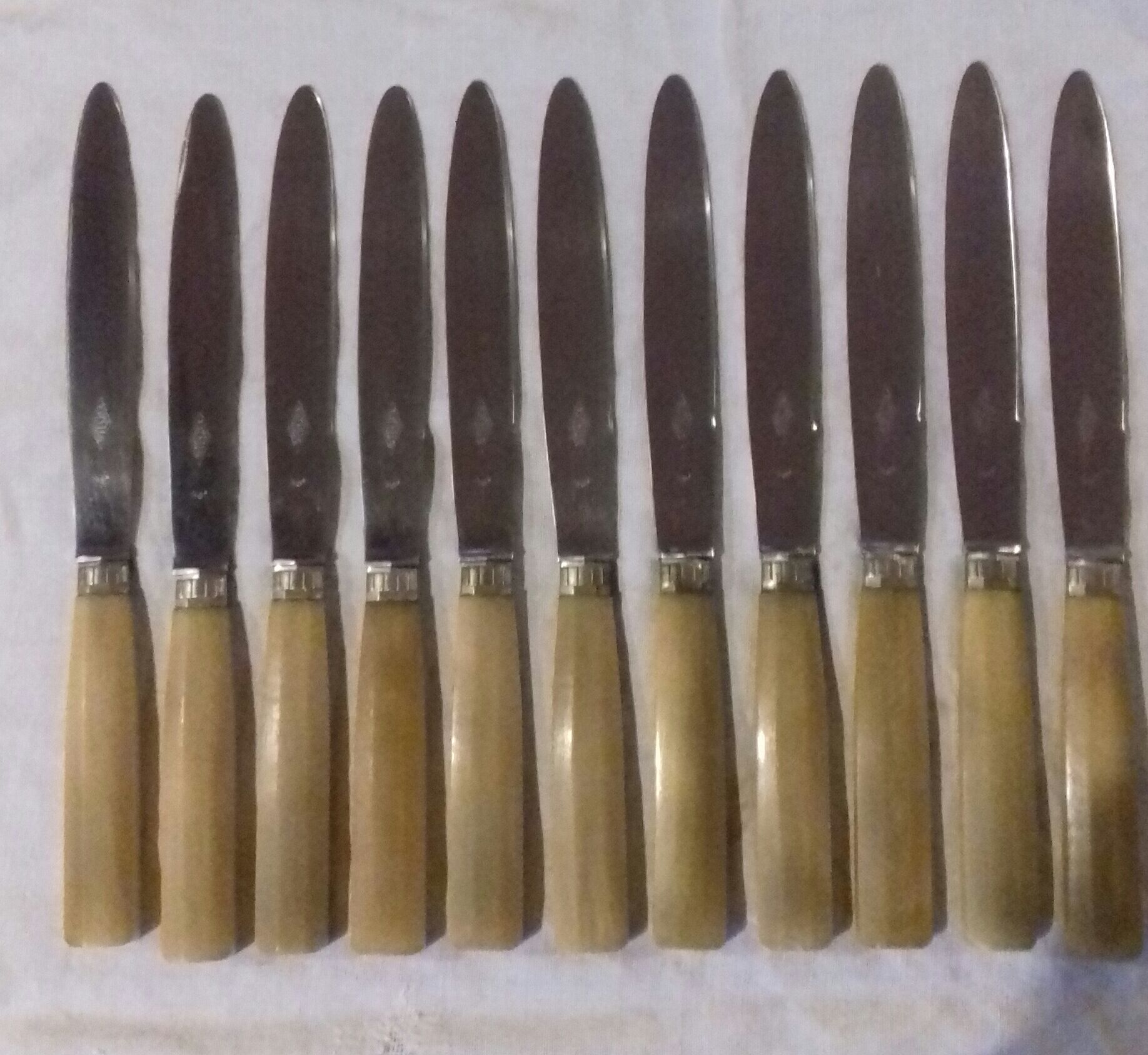 12 Knives in their box