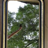 Louis Philippe mirror in blackened and gilded wood, 74 x 102 cm