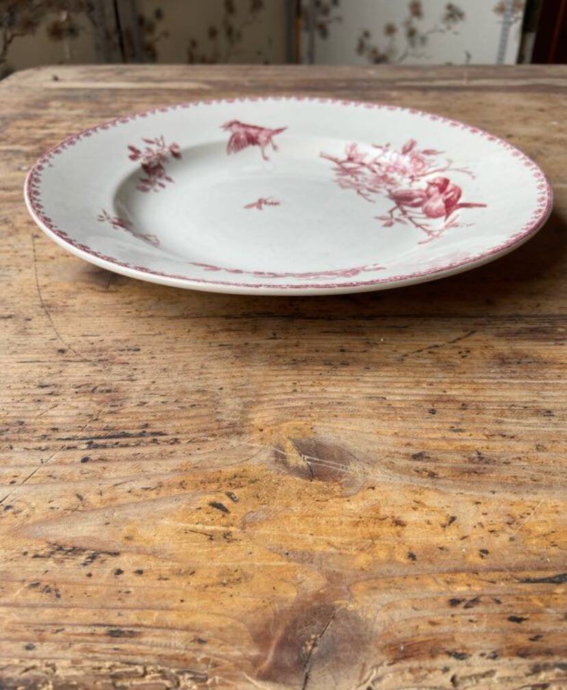 Plat en terre de fer modèle Favori
