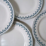 6 flat plates faience ancient Barbeaux, Terre de Fer