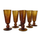 Handblown Glasses, set of 6 Amber Champagne Glasses, designer Iconic Drinkware