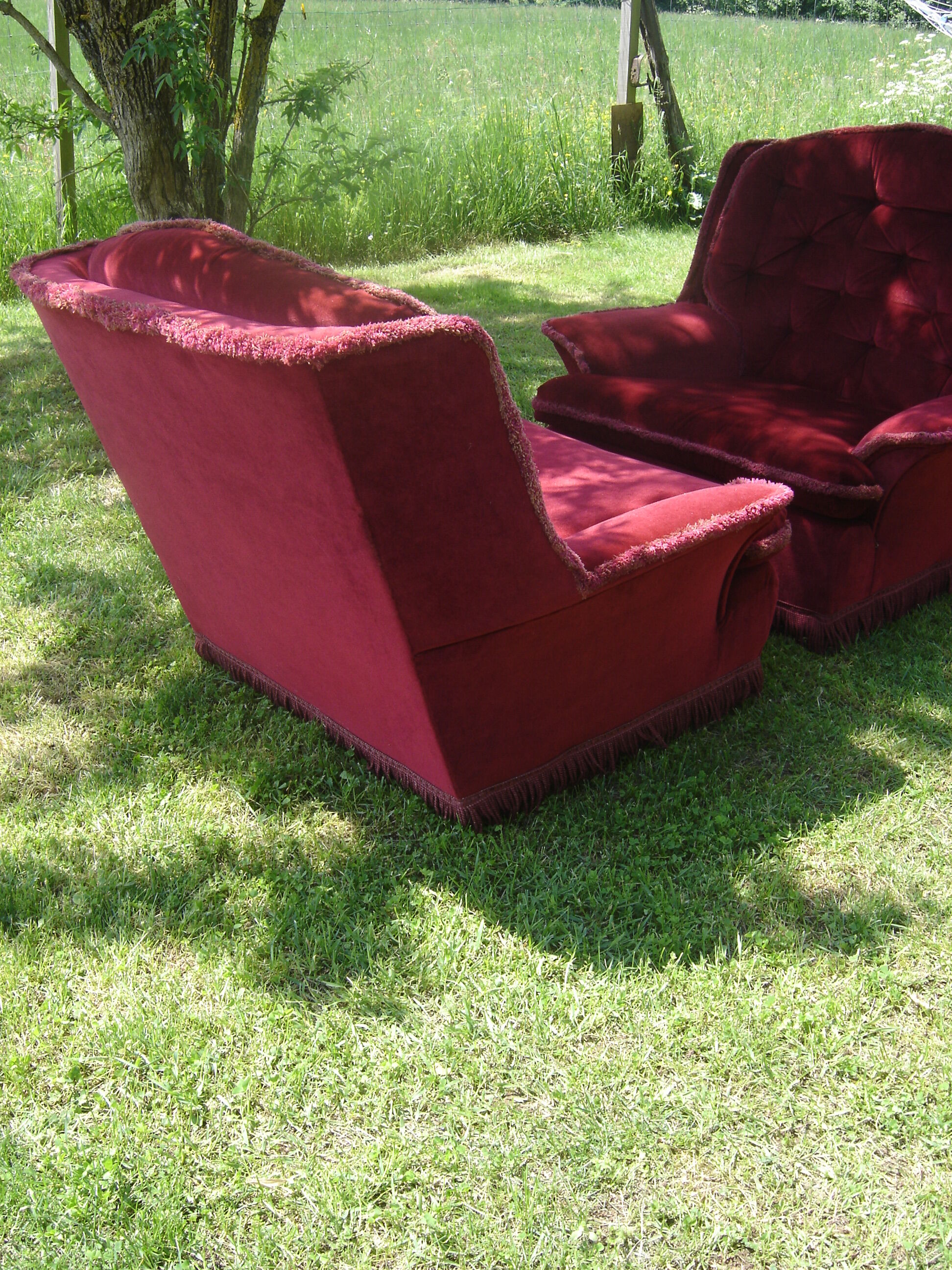 Pair of velvet chair