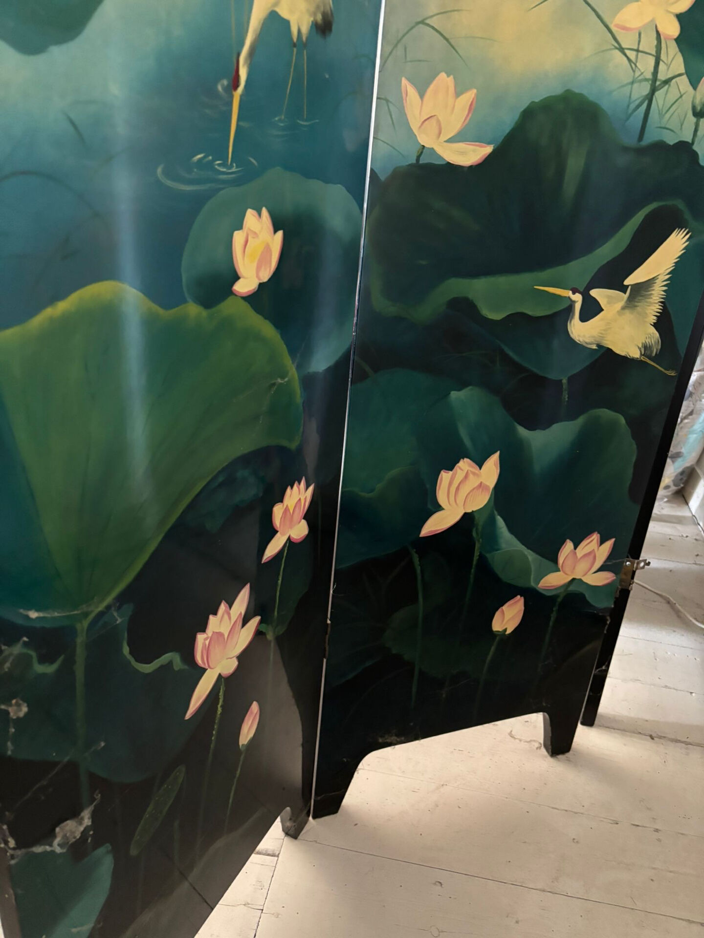 Asian screen (Vietnam - China)