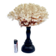 Corail blanc naturel ancien sur socle en bois tourné napoléon iii xixe cabinet de curiosités