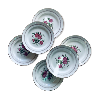 6 assiettes plates