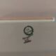 Asparagus dish and limoges porcelain drainer UC Limoges rose seedlings
