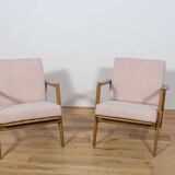 Fauteuils Modèle 300-139 Mid-Century de Swarzędzka Factory, 1960s, Set de 2