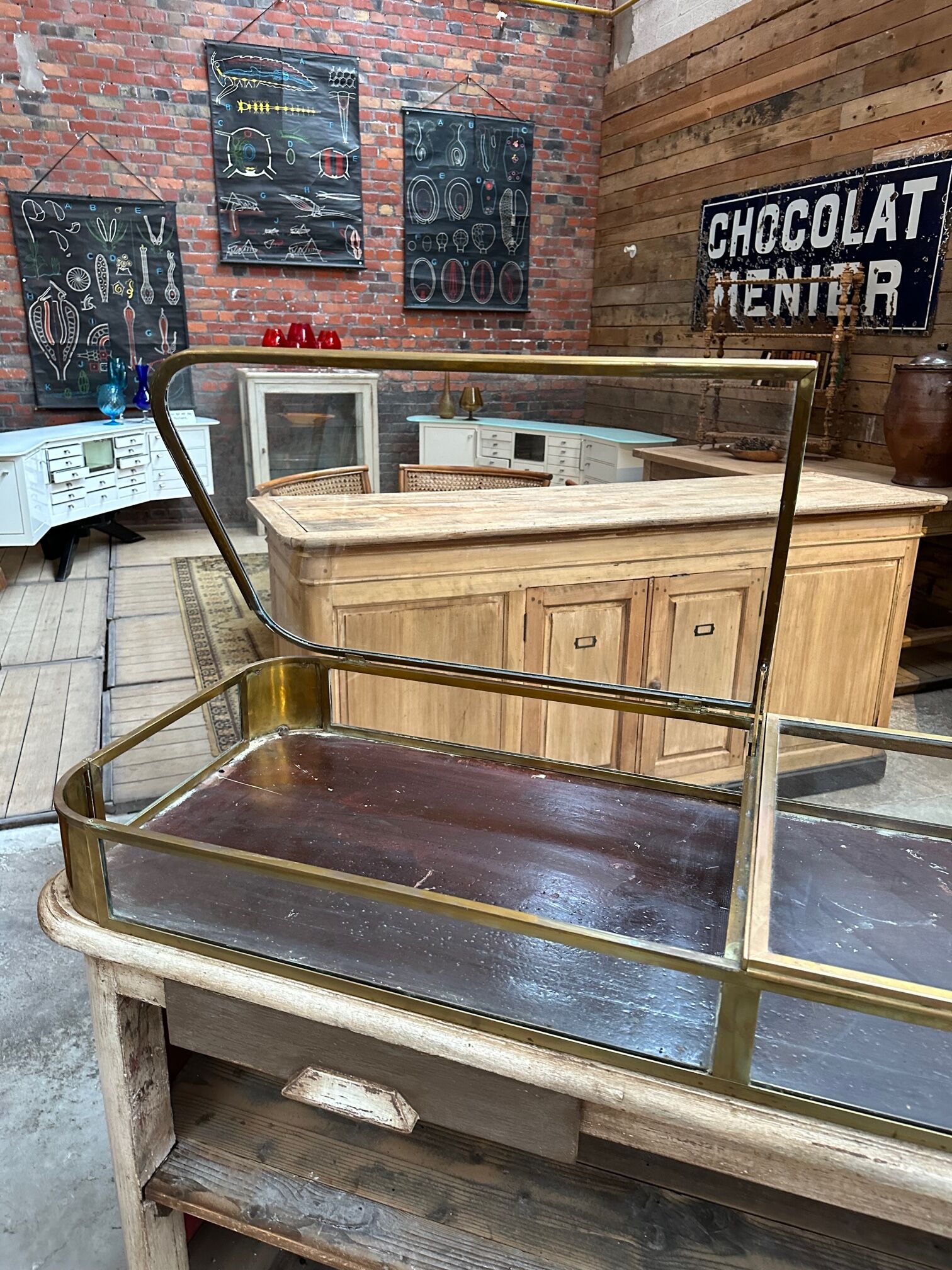 Showcase counter early twentieth century