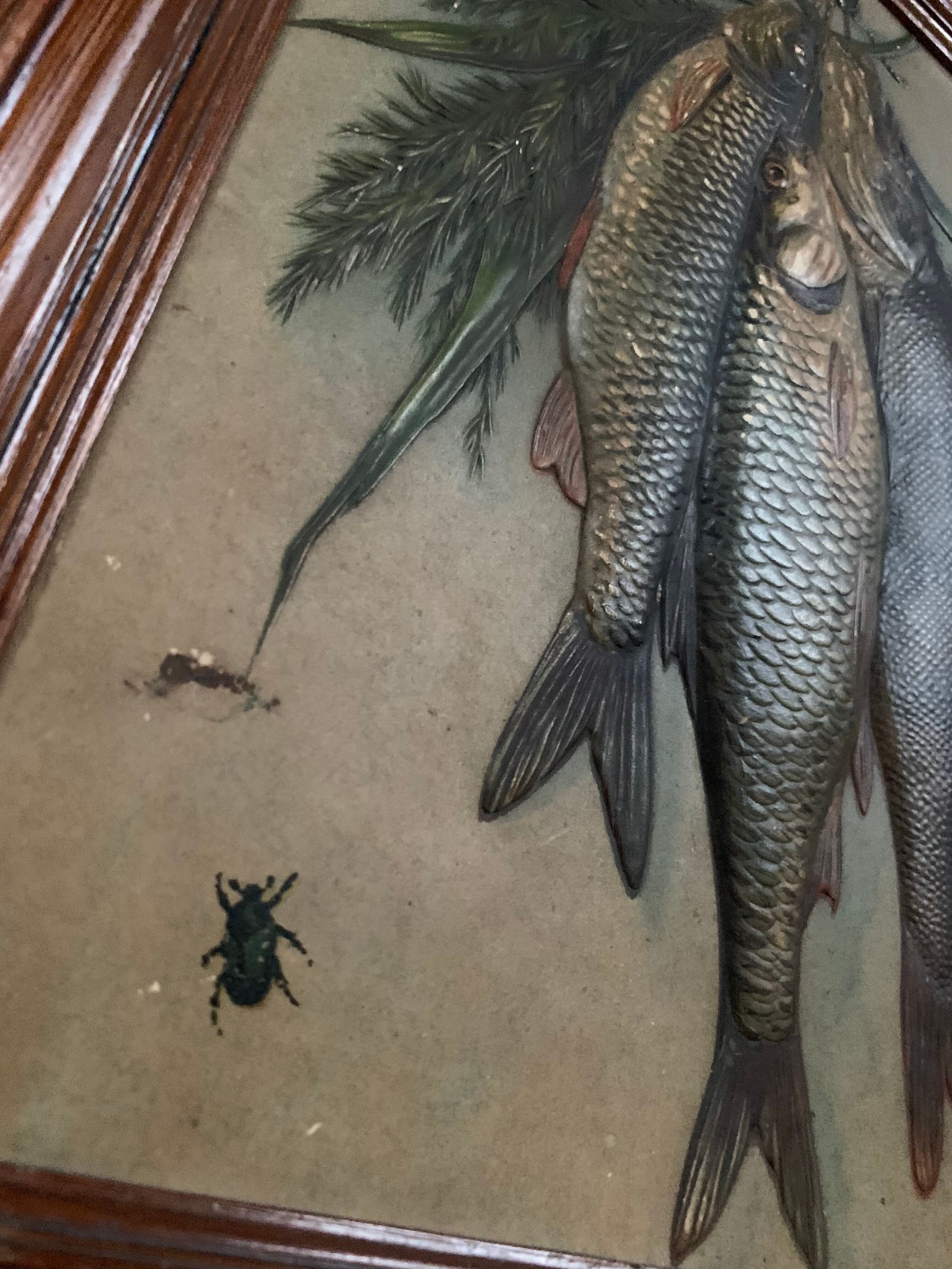 Still life, old fish trophy table