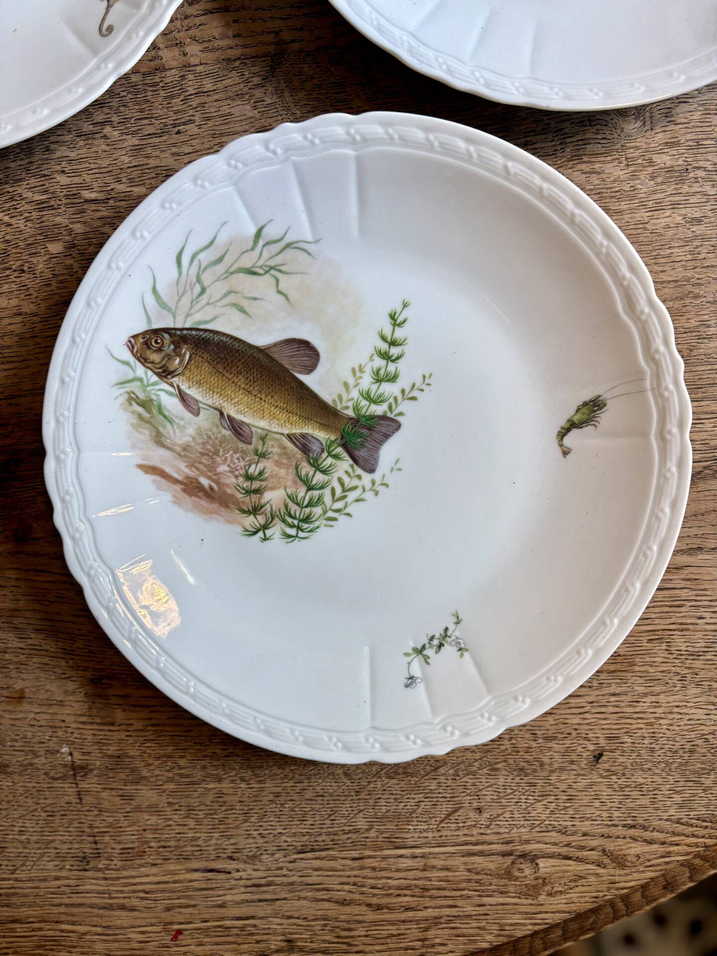 Set of 10 antique flat plates in porcelain, decorated with fish.