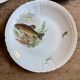 Set of 10 antique flat plates in porcelain, decorated with fish.