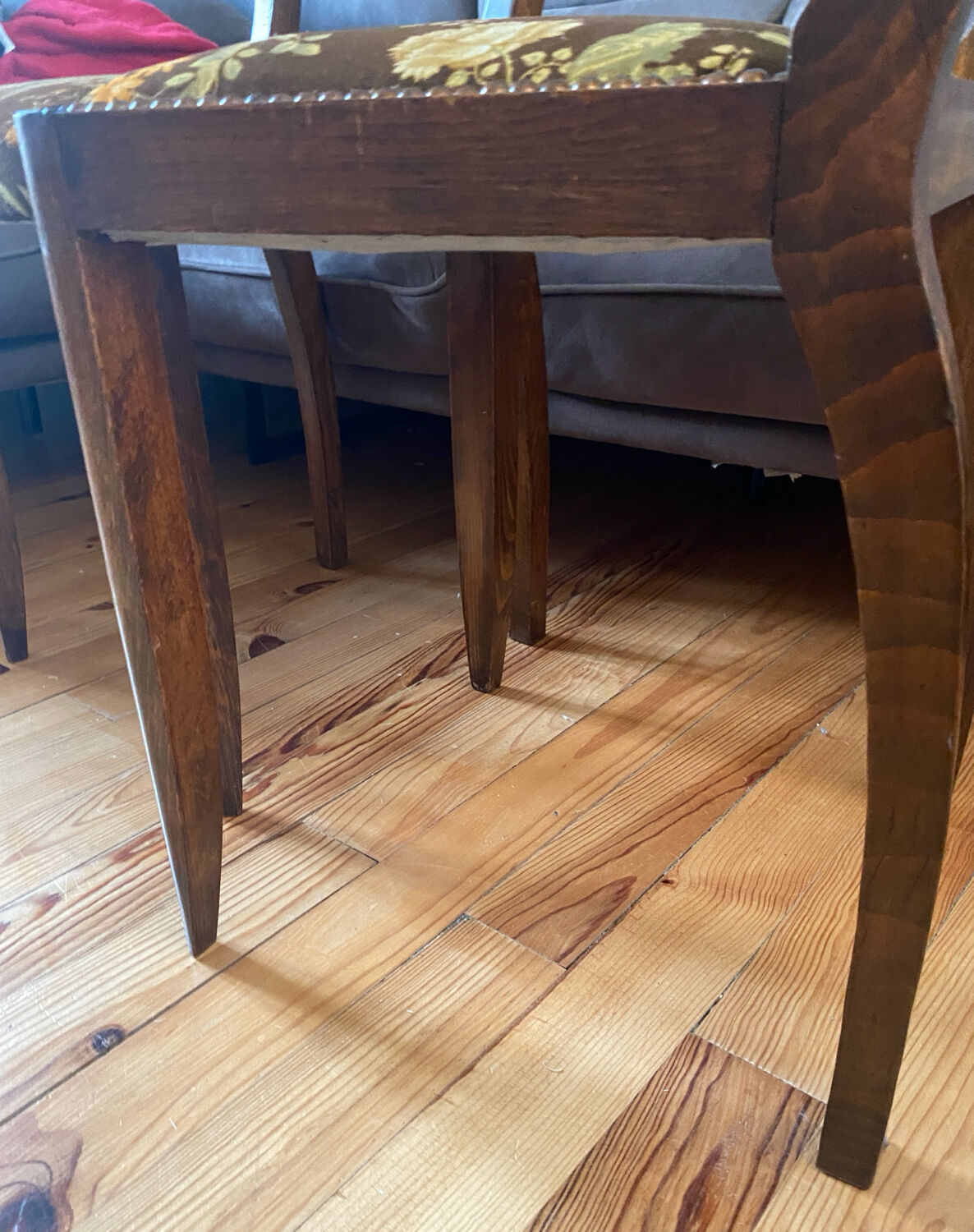 Set de 2 chaises vintage en velours oiseaux 1960-1970, état comme neuf.