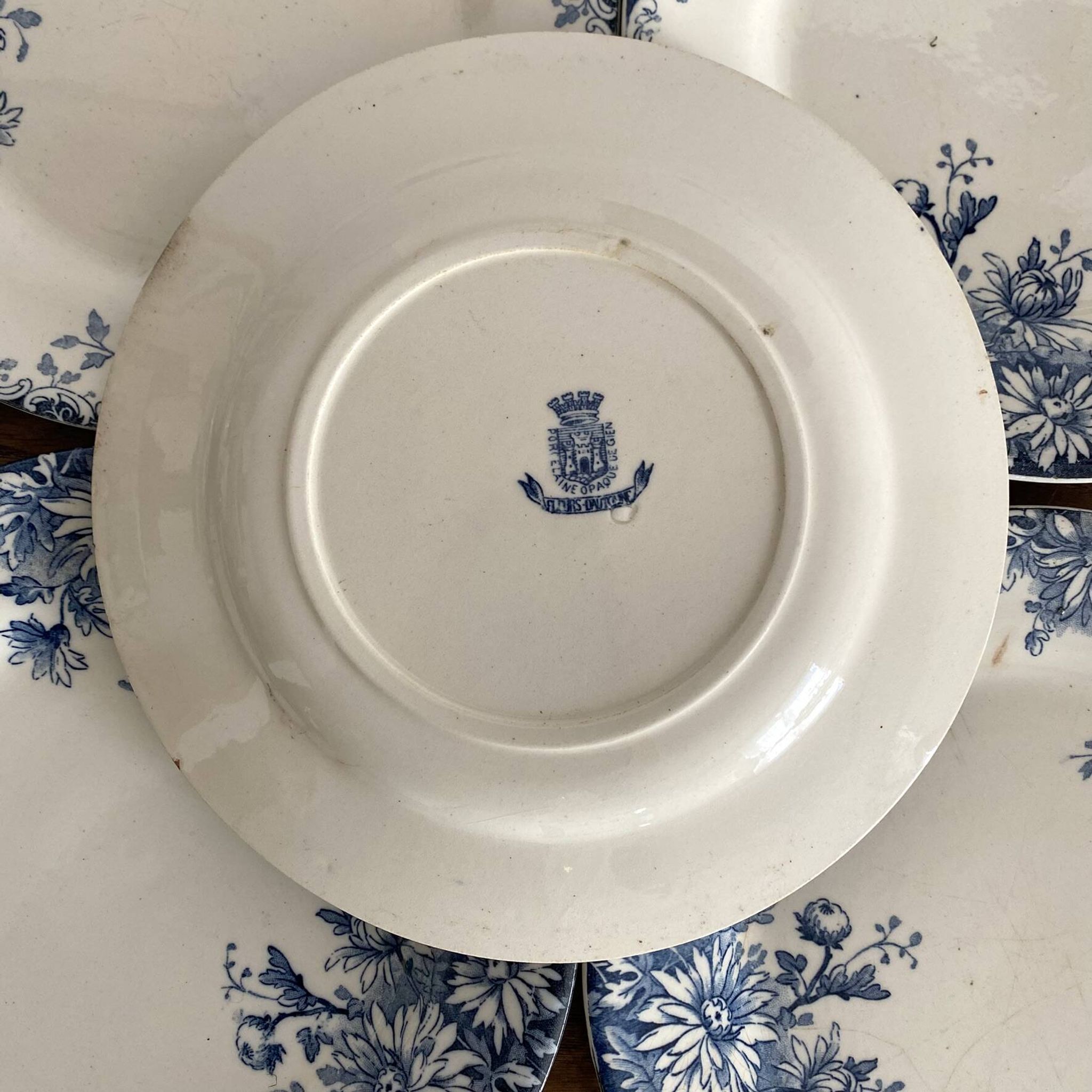 6 assiettes plates en terre de fer Gien "fleur d'automne"