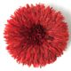 Jujuhat rouge 50 cm