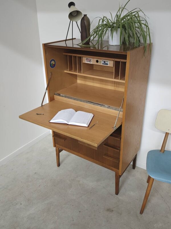 Secrétaire / Bureau deux tons Frantisek Mezulanik  pour Up Zavody 1960