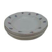Lot of 6 hollow plates