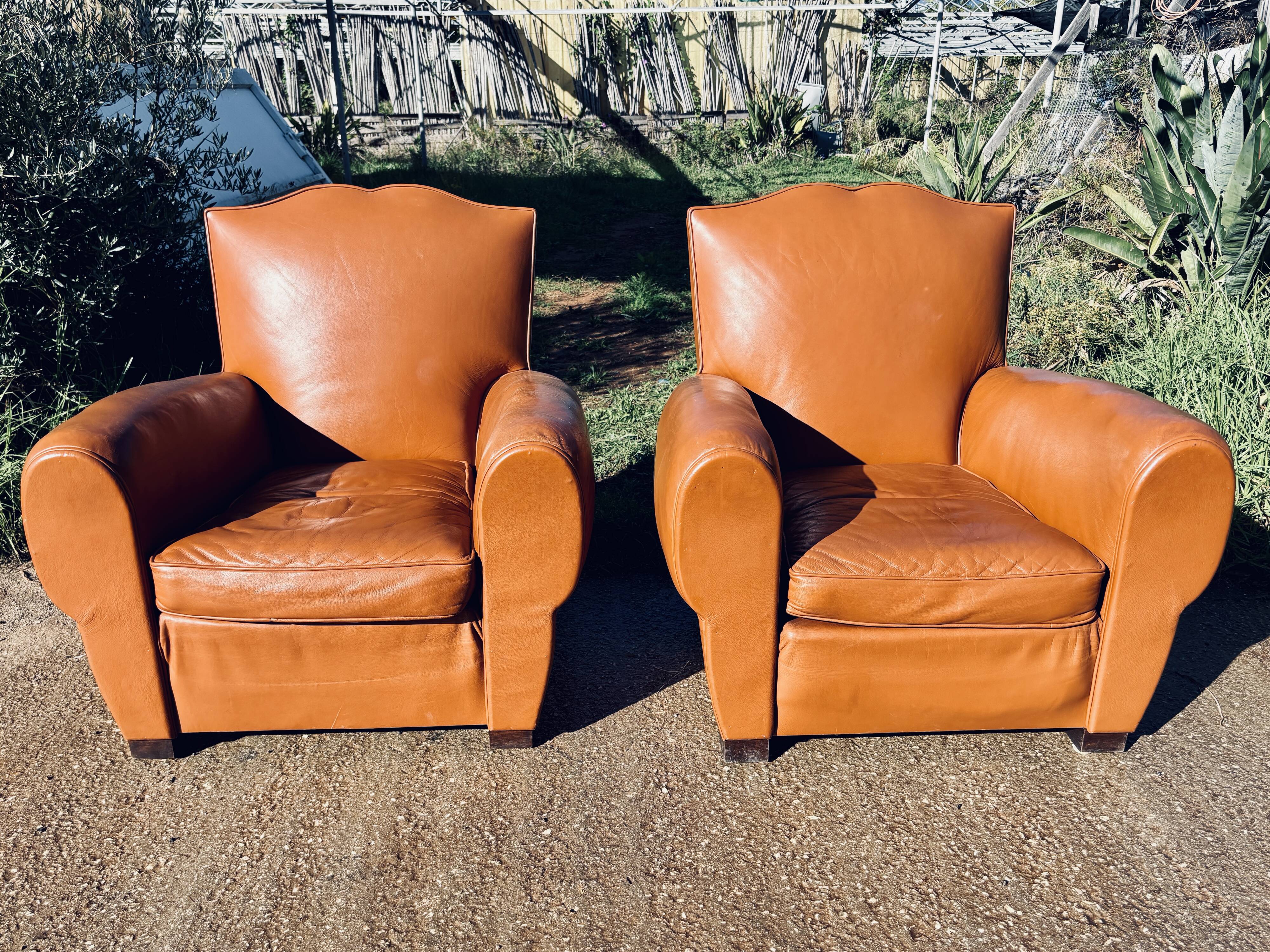 Pair of moustache armchairs from the 60s