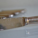 12 metal silver table knives 25 cm