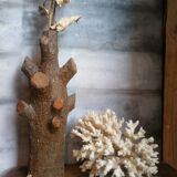 Ancient white coral bouquet