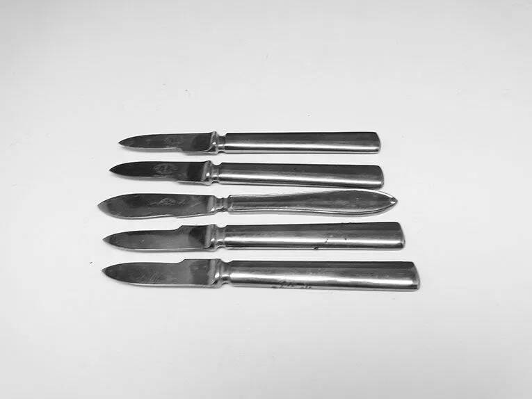 C2P Fruit Knife Set 5 Pieces
