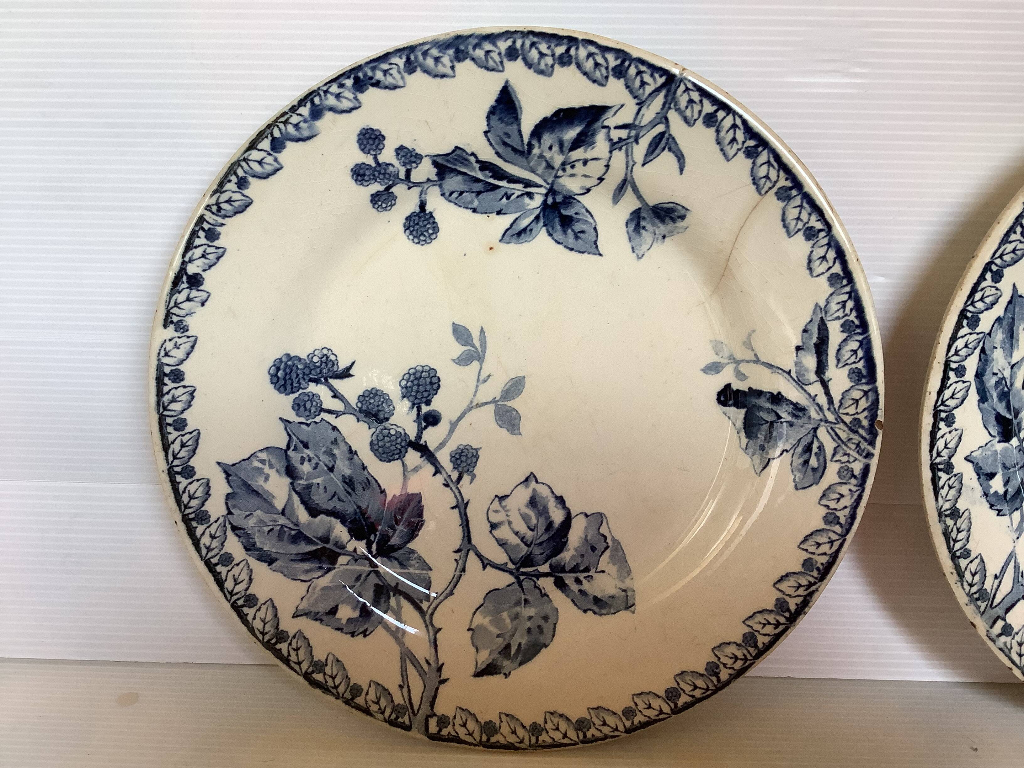 Pair of old mature ironstone plates