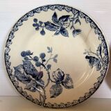 Pair of old mature ironstone plates