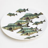 Vintage Set 'Passata Di Pesce' by Piero Fornasetti, 1955