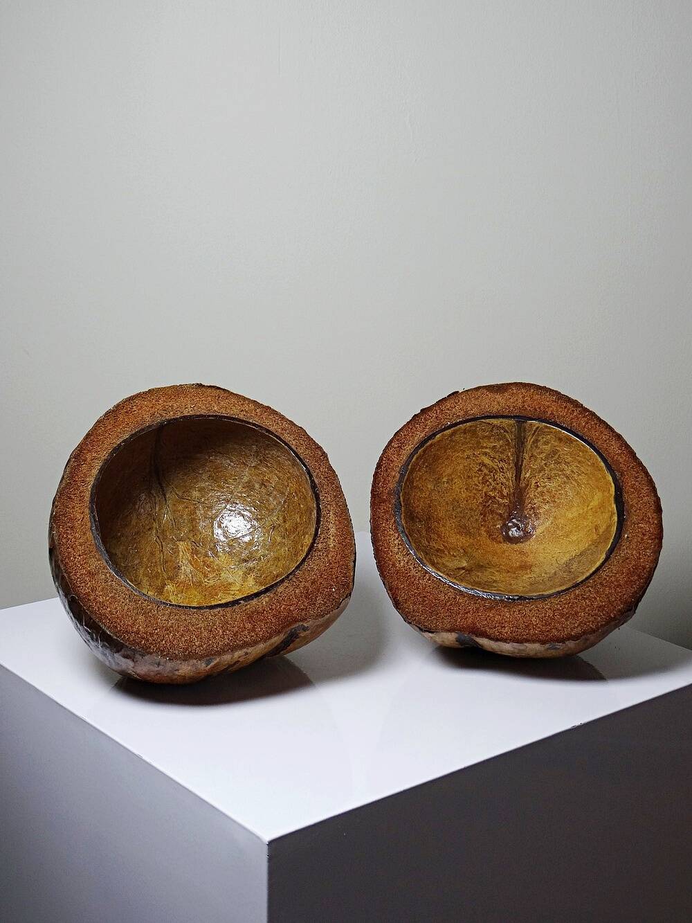 Large box/ice bucket curiosity Naturalised African Coconut vintage