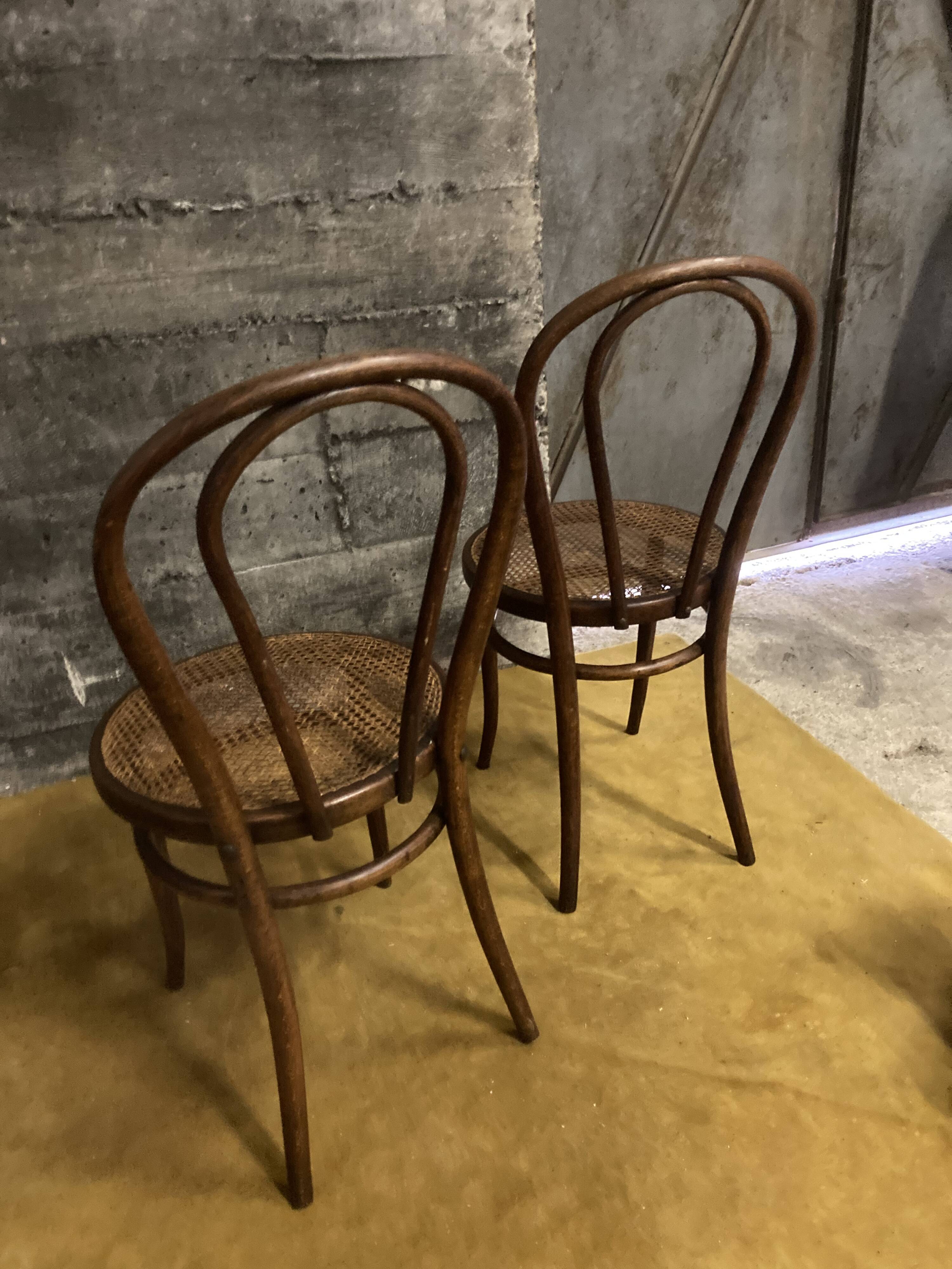 Duo of chairs bistrot Thonet early XXth