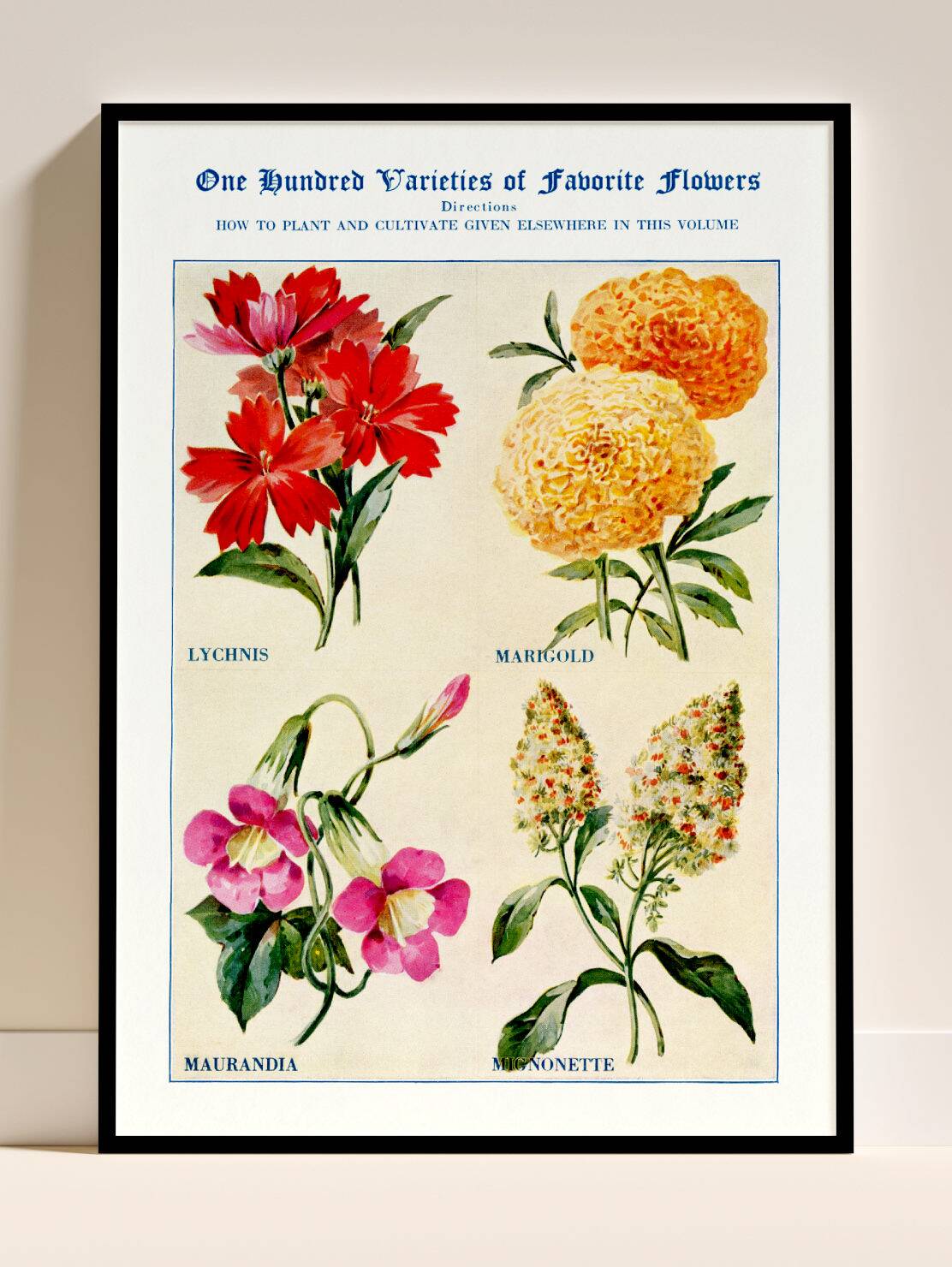 Poster about God's carnations, worries, and maurandies