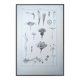 Printed in 1889, the composites. Old botanical plate.
