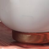 Shell bedside lamp