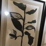 Diptych illustration plants caly